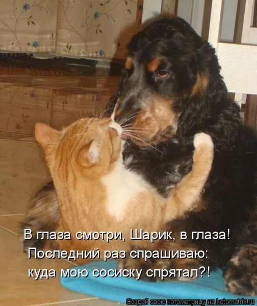 А???!!!!