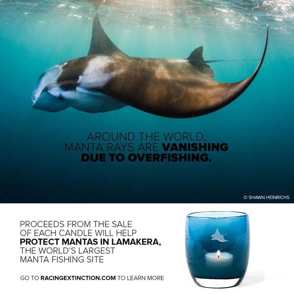"Racing Extinction"