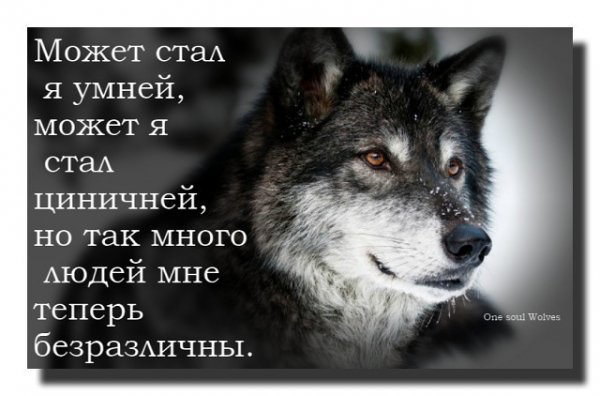 Факт