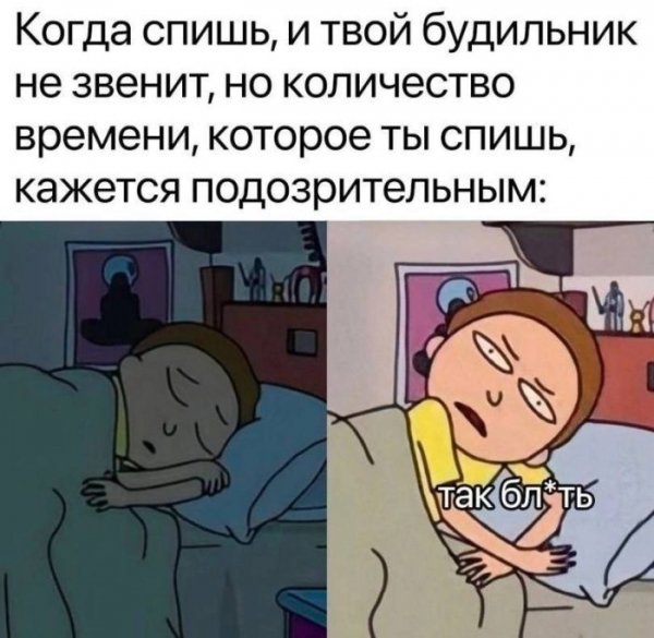 C565eba2cc samye-smeshnye-memy-i-kartinki-dlja-nastroenija-6
