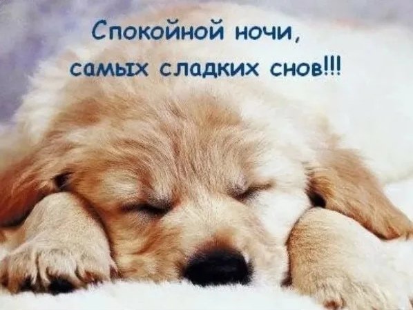Спокойной ночи...