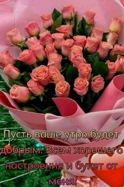 qNupcilgFGo