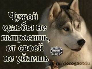FB IMG 14817169883620677