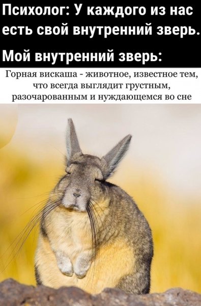 Горная вискаша