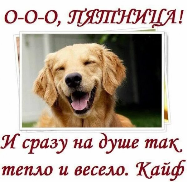 Кайф
