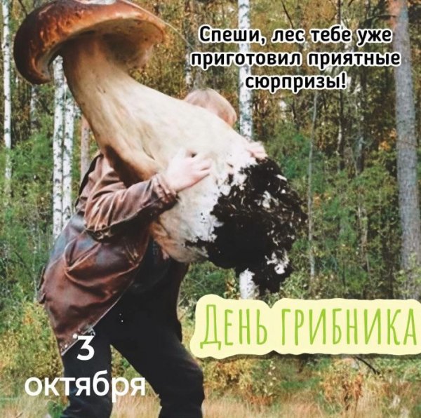 День грибника