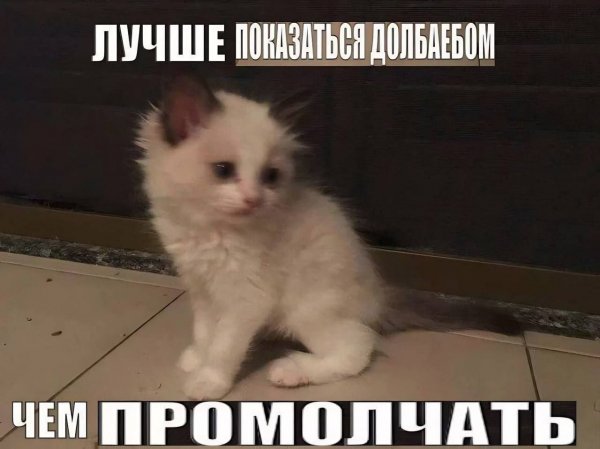 picture_412697340