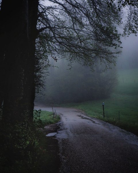 22-13-22-188965775 545858476403249 3238358477971290219 n