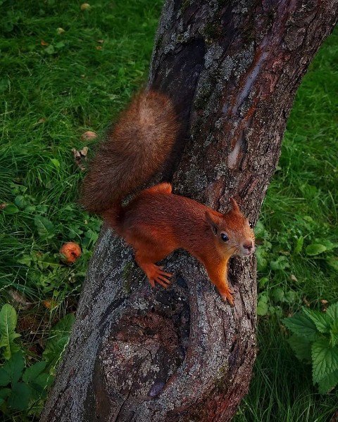 picture_347724049