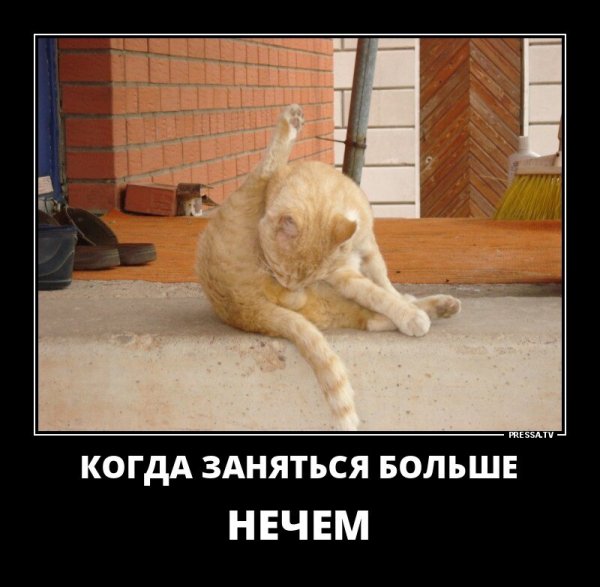 pics
