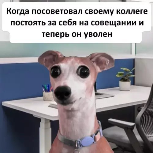 Коллега-совещание-увольнение-9444601