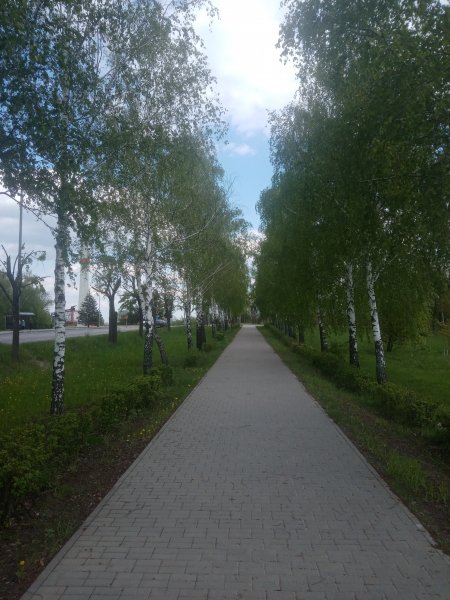 IMG 20240427 131133