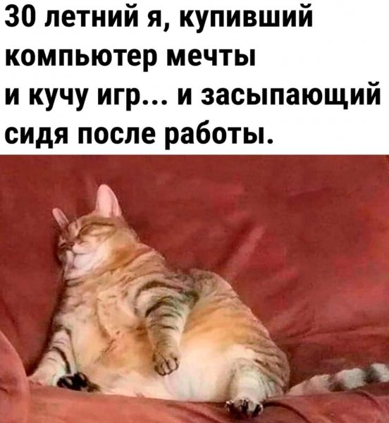 FB IMG 1730569351562