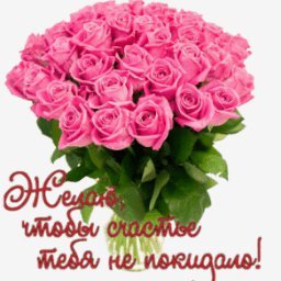 розы