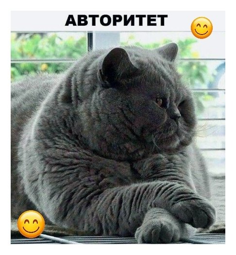 4Bi1fzoVIZZMN4CfsyfLtCIOzRwdu2K6Ybv4ULWY7iIi