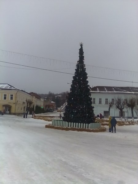 IMG 20210103 123026