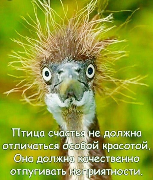 IMG 20190717 102101