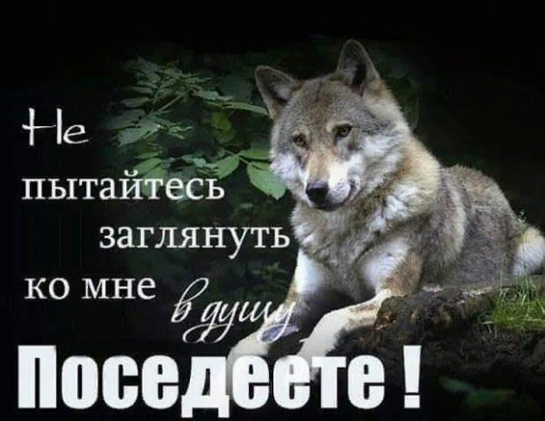 image (1)