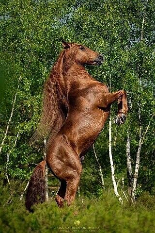 image (3) - 2020-08-18T213005.434