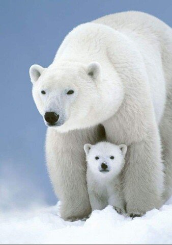 image (3) (13)