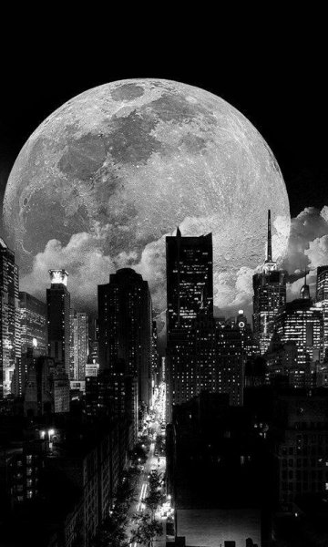 Moonlight