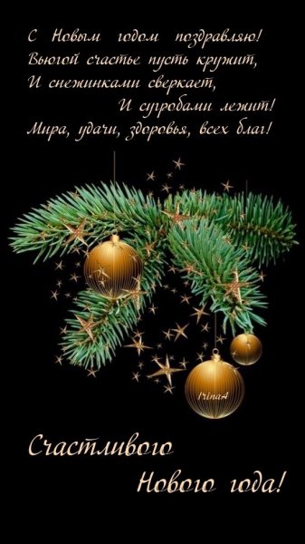 Счастливого Нового года!