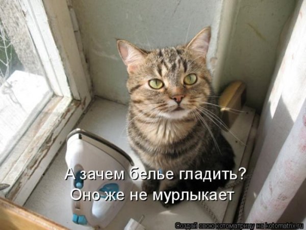 Оно же не мурлыкает