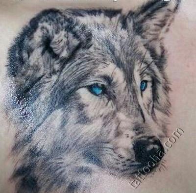 picture_93556479