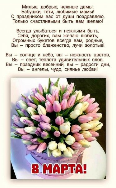 IMG-20210308-WA0040
