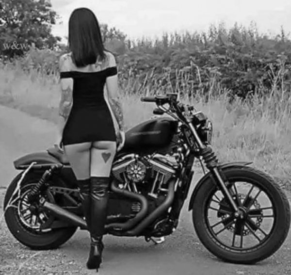 Aa40f6c1c3273425e9b473dcb662d946
