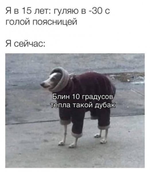 IMG 20250929 181550 842