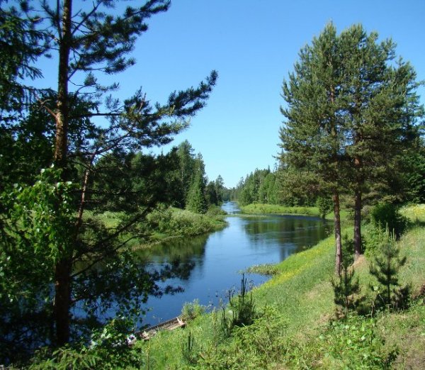 Северный пейзаж