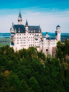 Nojshvanshtajn zamok derevia