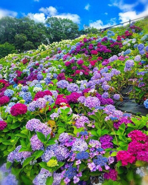 4f9b896284cf198bf4eecdd24363e753