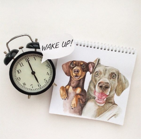 Funny Art by Valeria Susik-14