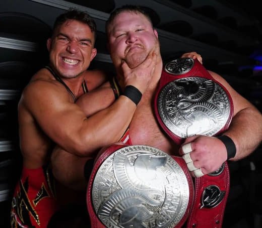 WWE (236)