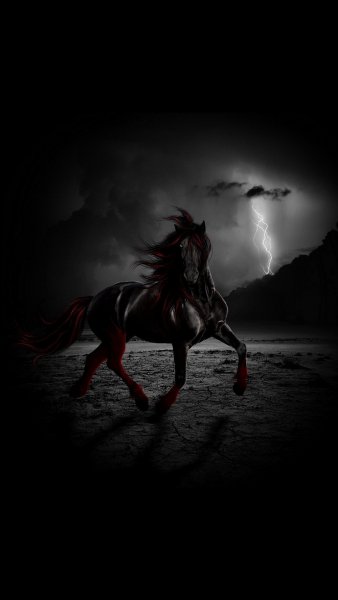 ZamanilkaRUS Wallpaper (290)