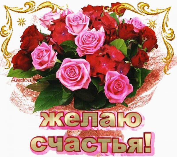 счастья 005300