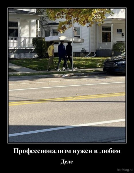 picture_381865730