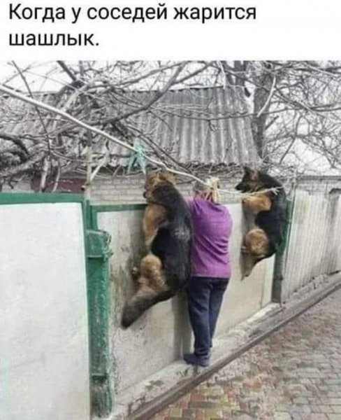 Astroenija-memy-i-kartinki-kotorye-pojmut-tolko-vzroslye-36