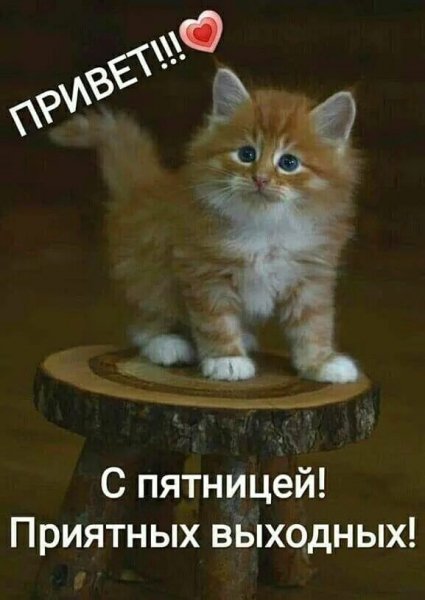 Всем и каждому!