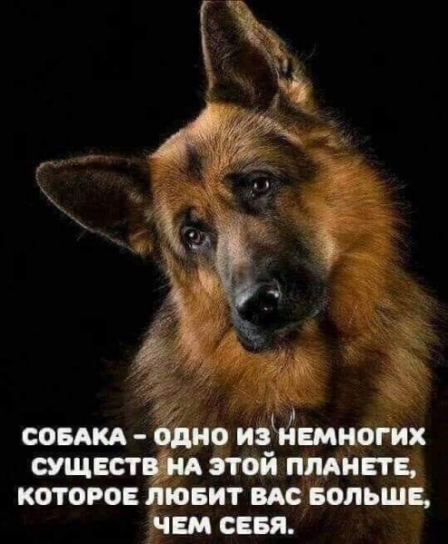 FB IMG 1624790101591