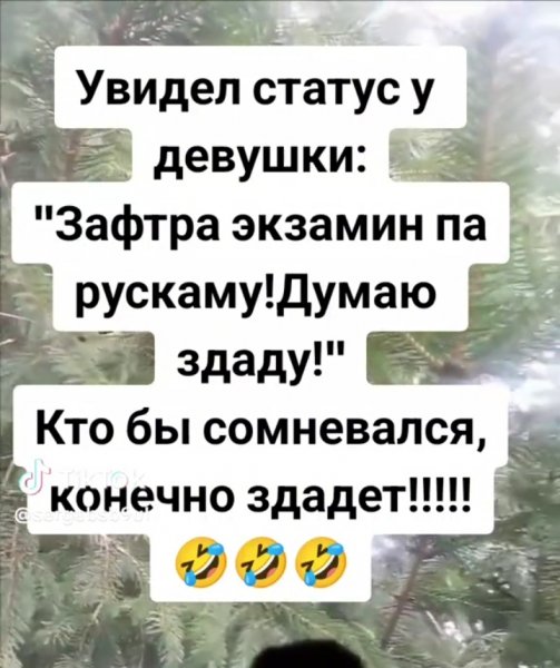 IMG 20240510 164615