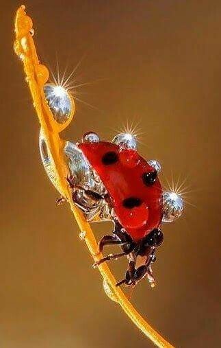 image - 2021-08-08T002406.795