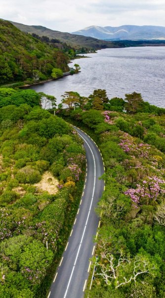 Screenshot 20260203-130543 One UI Home