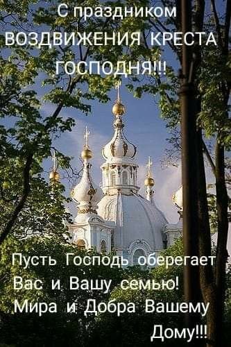 D992282cce96565ca7e95347306a48a2