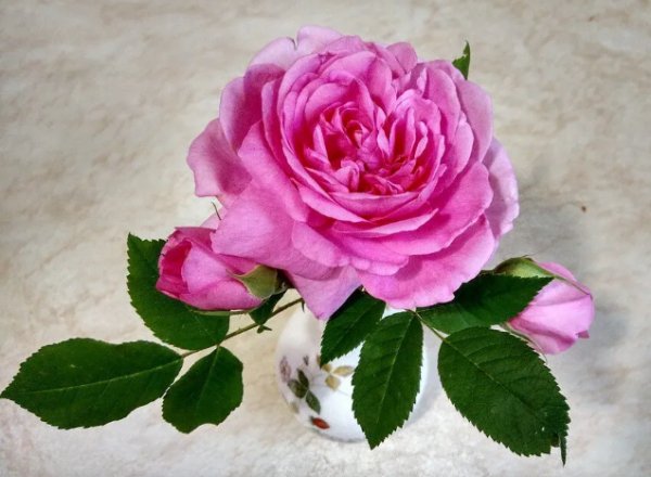 IMG 20220804 003408