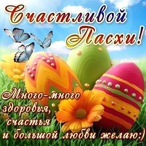 FB IMG 15231780177424712