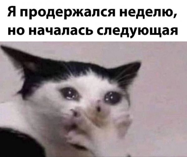 IMG 20250407 105940 046