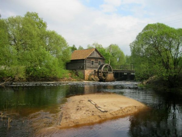 Архив Лесника